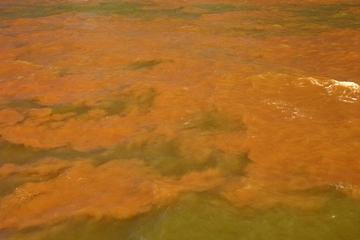 HumberWorkBoats's tweet photo. Massive Coral Reef Discovered in the Amazon River with survaying! https://t.co/c2KY6NuSP5 https://t.co/Yb5ORu81Bi