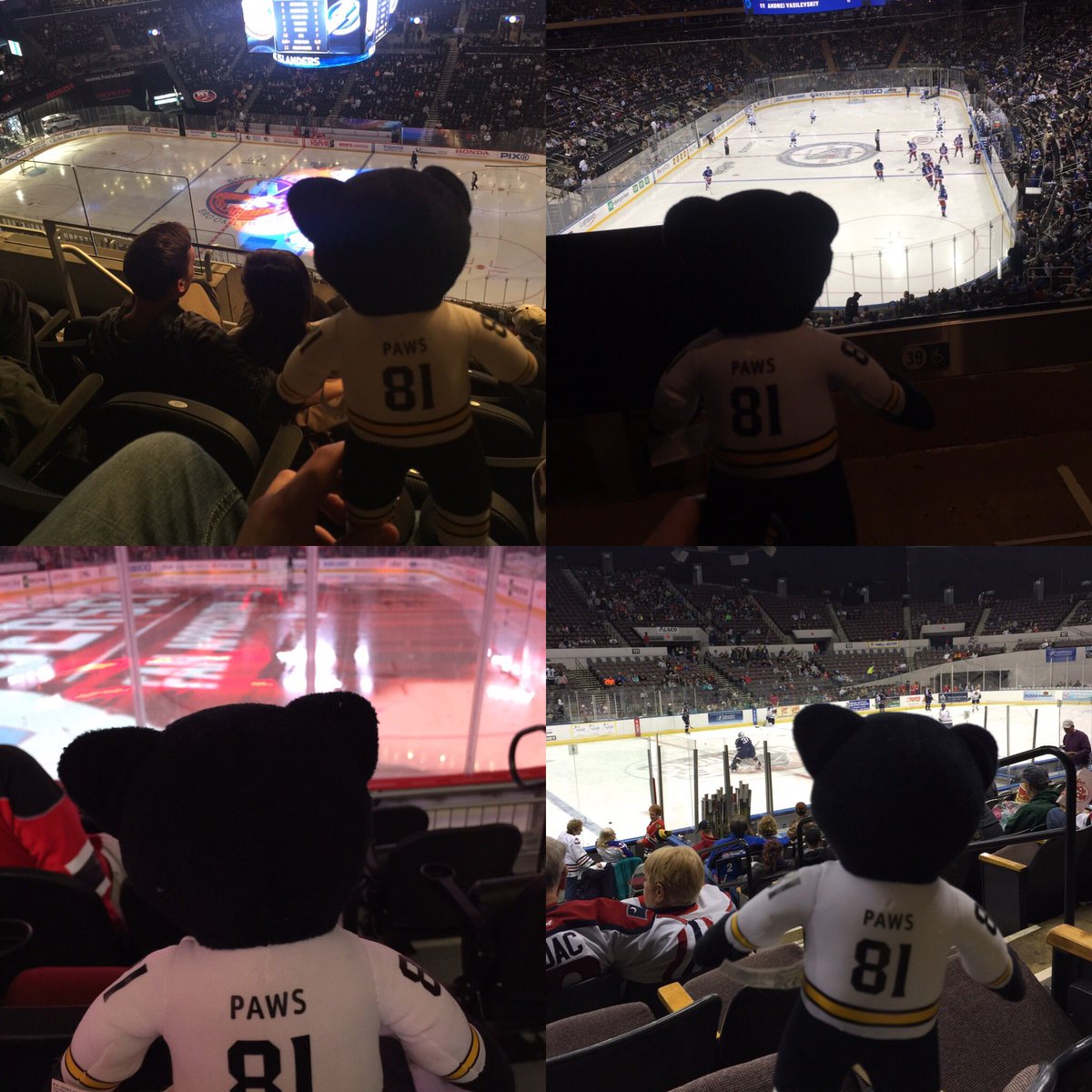 nphockeyfan's tweet photo. #MiniPaws is missing America! #PawsOnTour @Ice_Locker @Panthersmascot https://t.co/ZqffQJS4uF