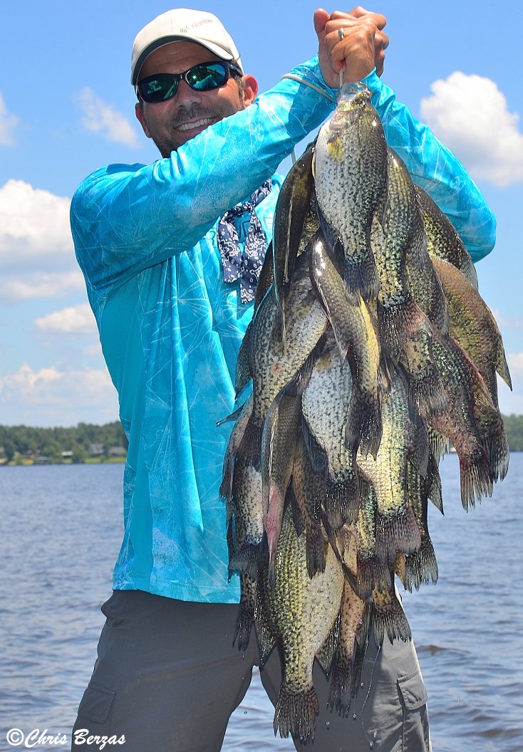 ChrisBerzas's tweet photo. Pick up May's issue of #LouisianaSportsman magazine to learn where to catch #toledobend #crappie slabs like these. https://t.co/adZpC4ItiX