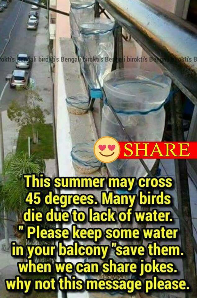 FaisalIqbalCric's tweet photo. An Important Message To Everyone in this HOTT🌞🔥 Summer in Pakistan and all over put water💧for Animals🐈🐐🐕🐄🐑 Birds🕊 https://t.co/JSD7bLqt8Z