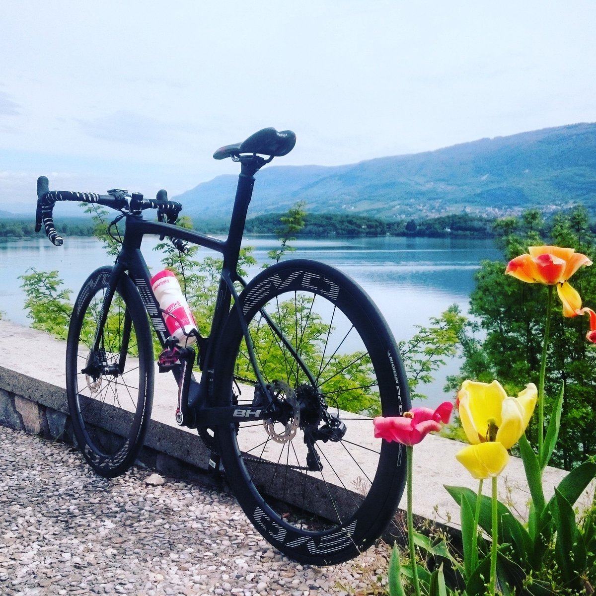 MaximeMarotte's tweet photo. #spring #G7disc @BH_Bikes @OVERSTIMS @PROLOGOTOUCH @MichelinTyres #conjux https://t.co/sTYm4NH58X