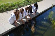 SMTSafeline's tweet photo. #Technovation. @richknaggs @apeters522 @ParklandsTweet. ..... And the winner is. #Appsolutely SMT https://t.co/wgEYIxaJs3