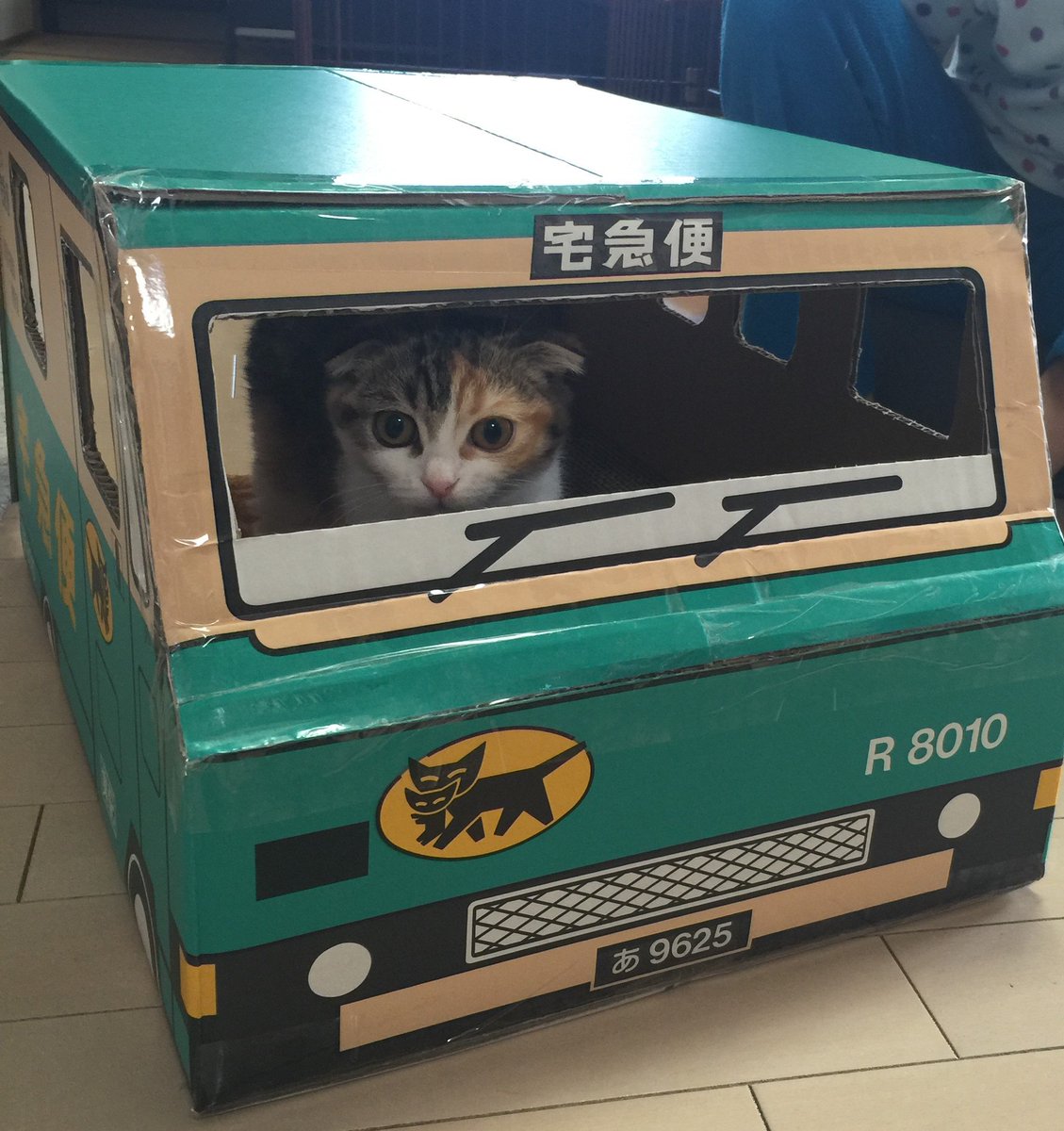 めい げんじろう こんばんは 今日はとっておきの段ボールハウスを作りました 猫を飼う日まで と大事に温めて いた クロネコヤマトのクイックデリバリー号を作りました さっそく試乗 気に入ってくれたようです ミケ愛好会 めい げんじろう こんばんは 今日はとっておきの段ボールハウスを作りました 猫を飼う日まで と大事に温めて いた クロネコヤマトのクイックデリバリー号を作りました さっそく試乗 気に入ってくれたようです ミケ愛好会