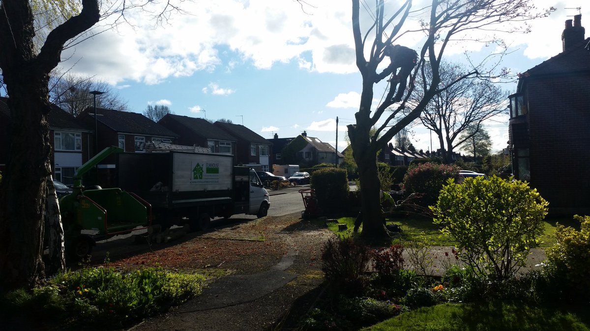elmhousetrees's tweet photo. Small tree removal in Timperley. A nice start to the day. https://t.co/ri0xHnLZ4G