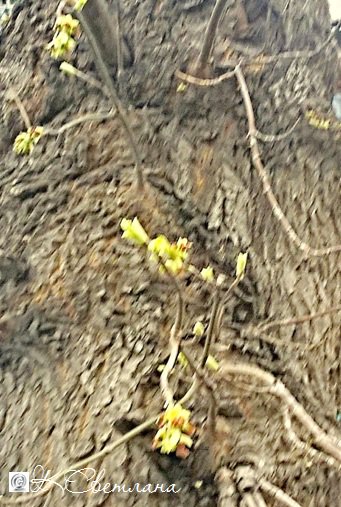 OriginGabri's tweet image. 