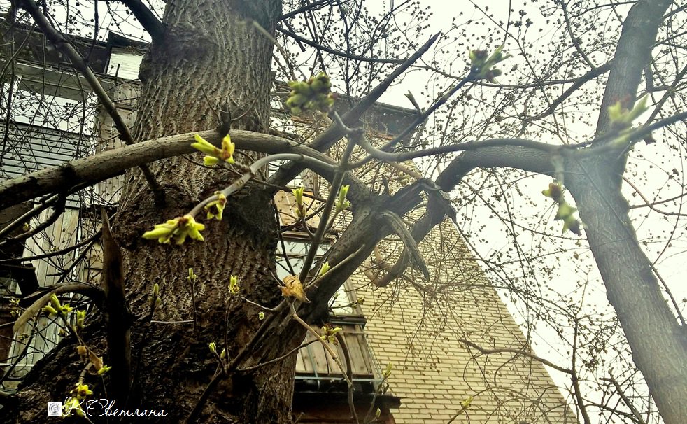 OriginGabri's tweet image. 