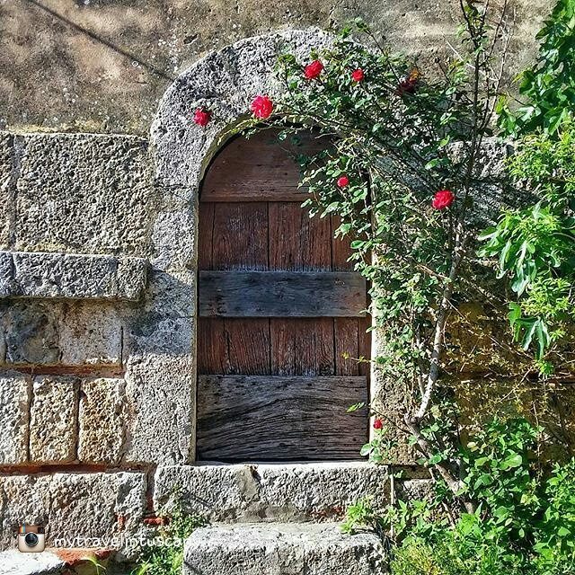 WeTuscany's tweet photo. repost from @mytravelintuscany
Hidden corner of #Tuscany. Can you guess where this little door brings? 🌹🌹💜💜 #tuscany https://t.co/mWAJbP0yKj