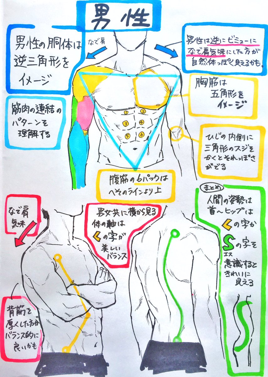 プロによる ここだけ注意すれば下手には見えない男性と女性の身体の描き方 がとても参考になる 困ったらすぐ見たい Togetter