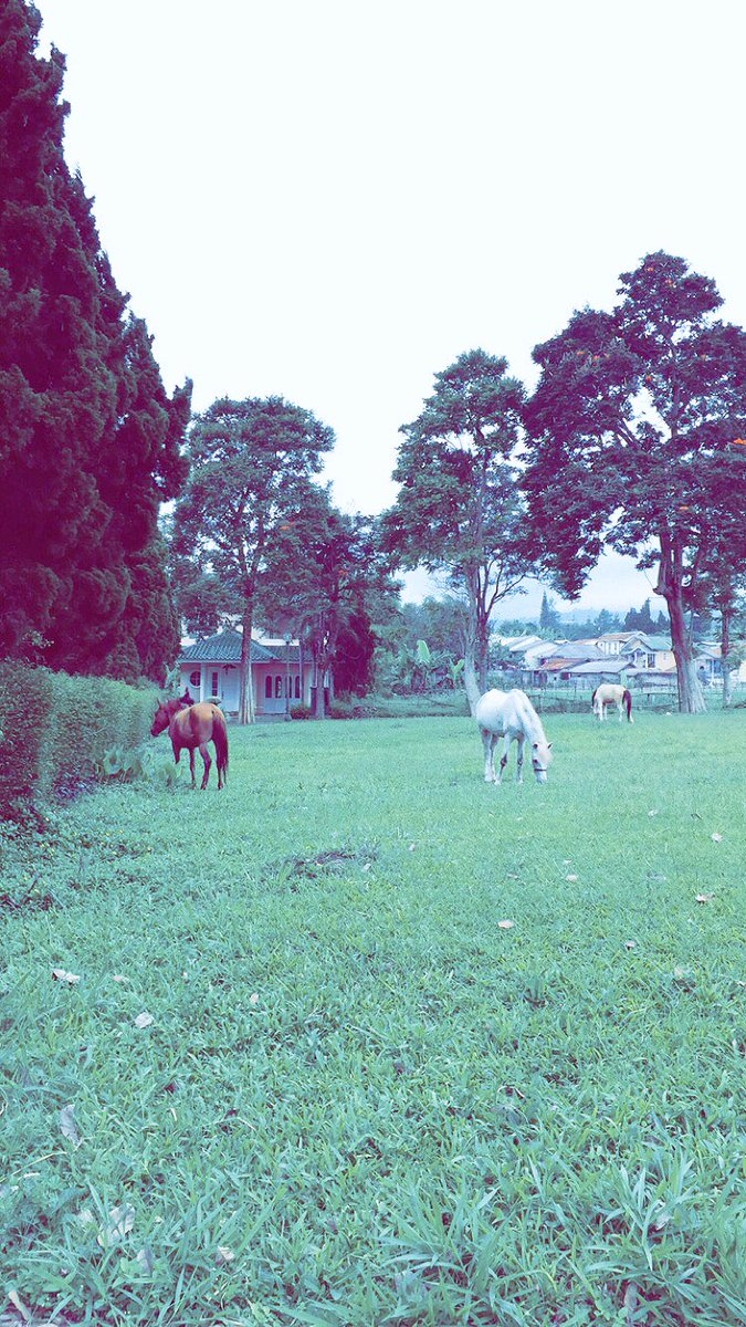 اللهم طهر قلوبنا واستر عيوبنا واغفر ذنوبنا 
واشرح صدورنا واحفظ أحبّتنا واكفنا شر مافي 
الغيب واختم بالصالحات أعمالنا