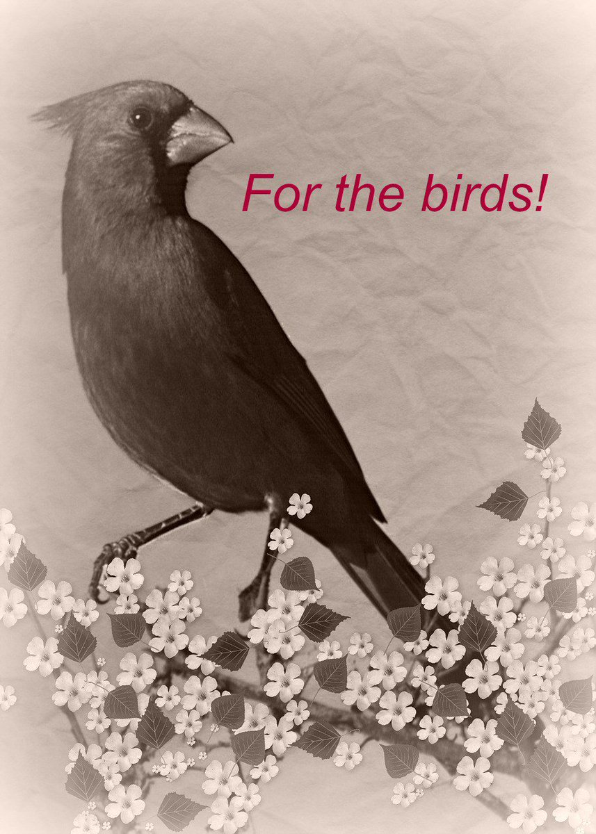 dawnlizjones's tweet image. #RecognizingGod can be challenging, but ever give up!
#Christianencouragement dawnlizjones.wordpress.com/2016/04/30/red…