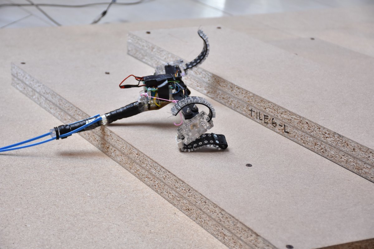 RoboSoft_CA's tweet image. RoboSoft Grand Challenge today! #softroboticsweek2016 @RoboticsEU @ScuolaSantAnna @RoboSoft_CA