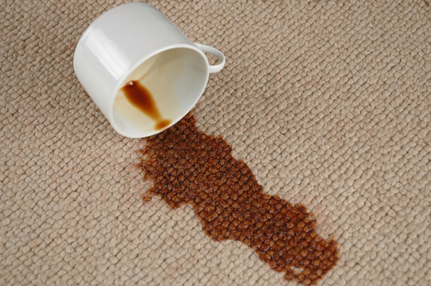 JoshuaTinil's tweet photo. Carpet Cleaning Sydney - A1QualityCleaning

#carpetcleaningsydney #a1qualitycleaning

https://t.co/JzGY78LS70 https://t.co/NGyDZuVcB8