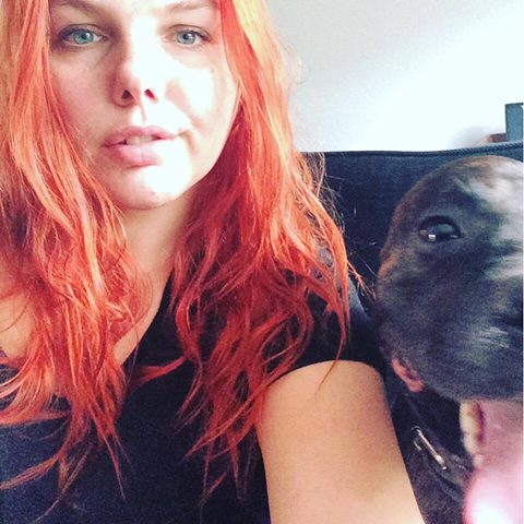 ElizabyteThe's tweet photo. @thekatvond Beautiful Poe is by nature a meat eater, what do you feed him being vegan?(no hate here, only curiosity) https://t.co/6NkCv8MIZh