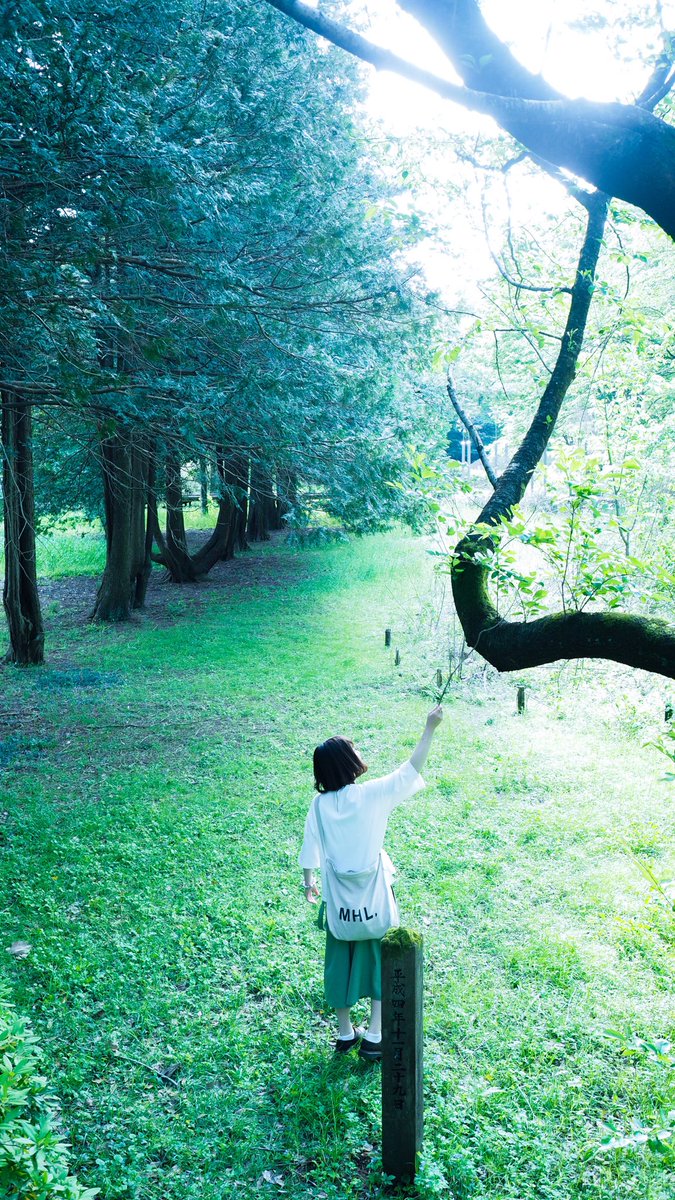 ryopg8's tweet photo. 昭和記念公園に行ってまいりました。
大自然で歩きすぎて脚が取れたのですが無事くっつきました
写真最高！！！

#写真好きな人と繋がりたい 
#ファインダー越しの私の世界 https://t.co/1dYVTJUnou