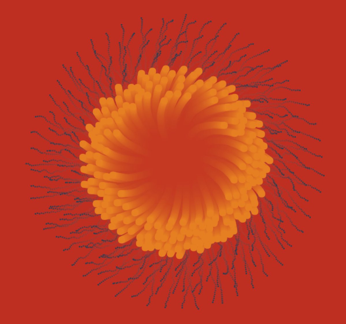 Jozef Maxted tweet media