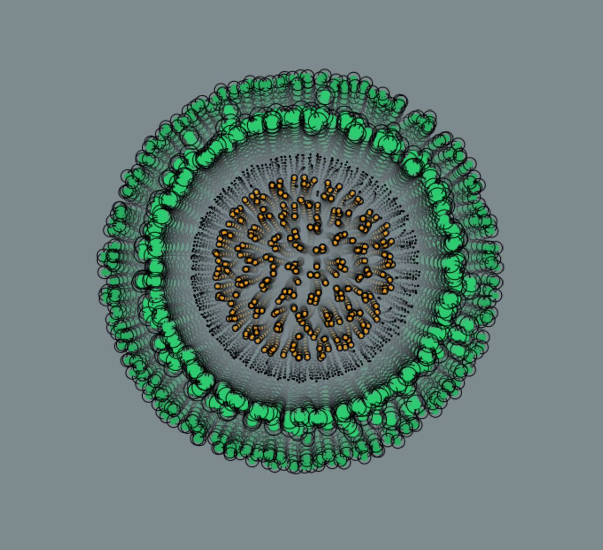 Jozef Maxted tweet media