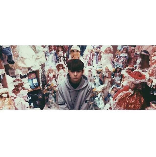 queenwonho's tweet photo. hansol with some spirit animals https://t.co/JapxCcou0Z