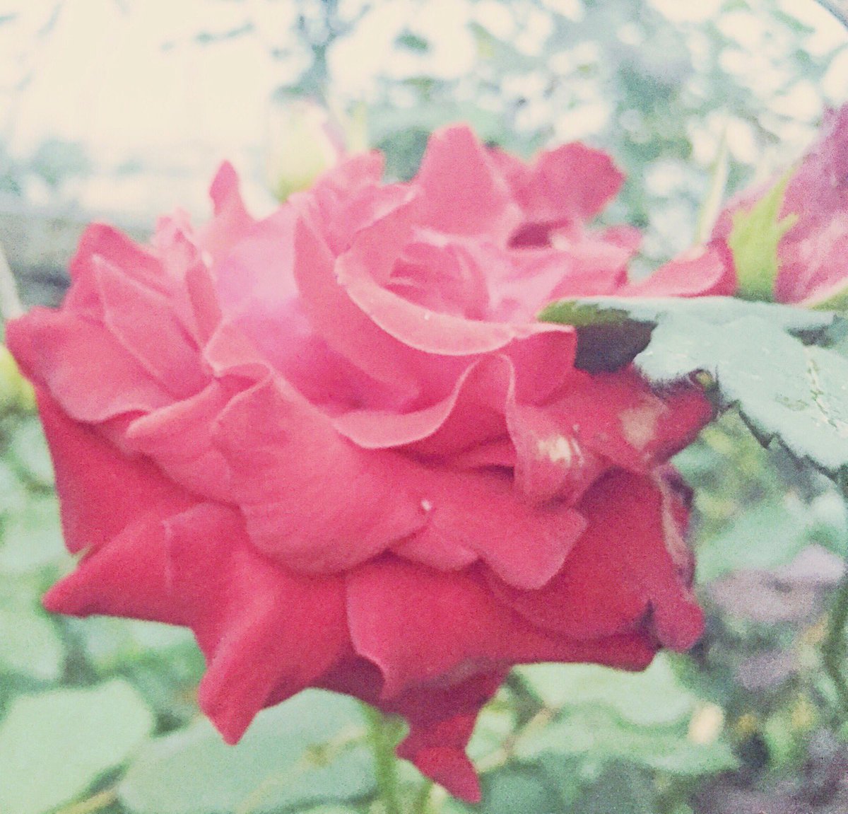 Anpinis's tweet photo. https://t.co/J0Drtr6Bwp