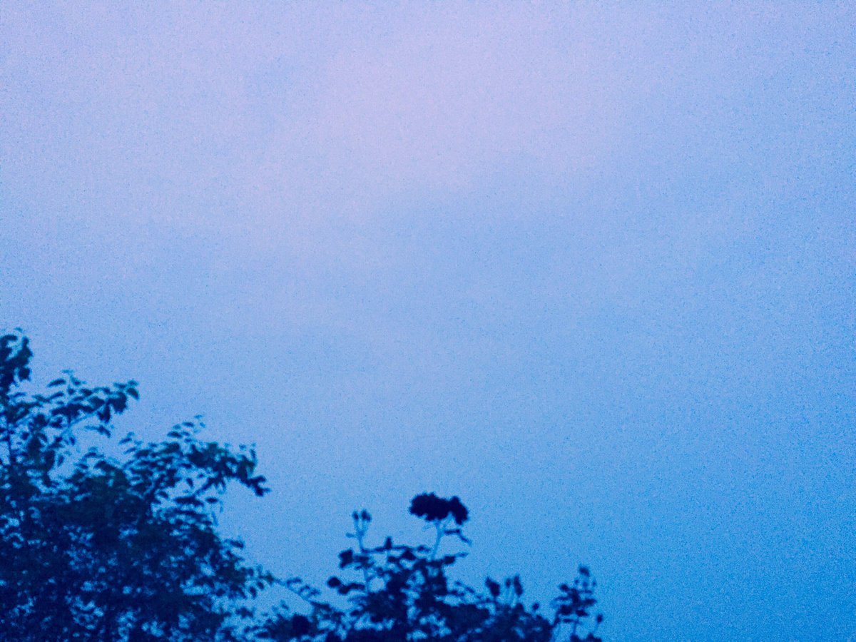 Anpinis's tweet photo. https://t.co/J0Drtr6Bwp