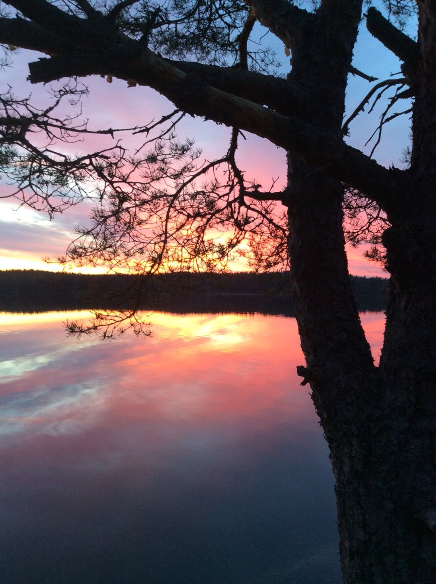 EssiJuvakka's tweet image. #Vappupallot, #vappuhuiskat ja #serpentiini taivaalla. #vappu #auringonlasku #heinola #maaseutu