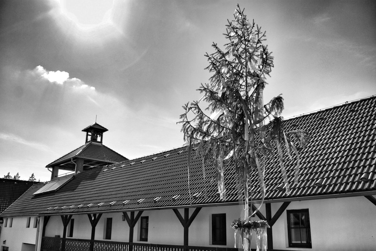 marcelajirkova's tweet photo. Poslední dubnový den #amazing #day #spring #sunny #svachovka #carodejnice #májka #srdce #golf #enjoygolfkrumlov https://t.co/kFvAELJ4hx