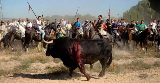 NOTORDESILLAS15's tweet photo. @mercedesbresso  Richiesta di supporto 2164/14 tori abolizione
TRADIZIONE CULTURALE? SI TRATTA DI OMICIDIO.NO 13TFUE https://t.co/R4xc7YvnYG
