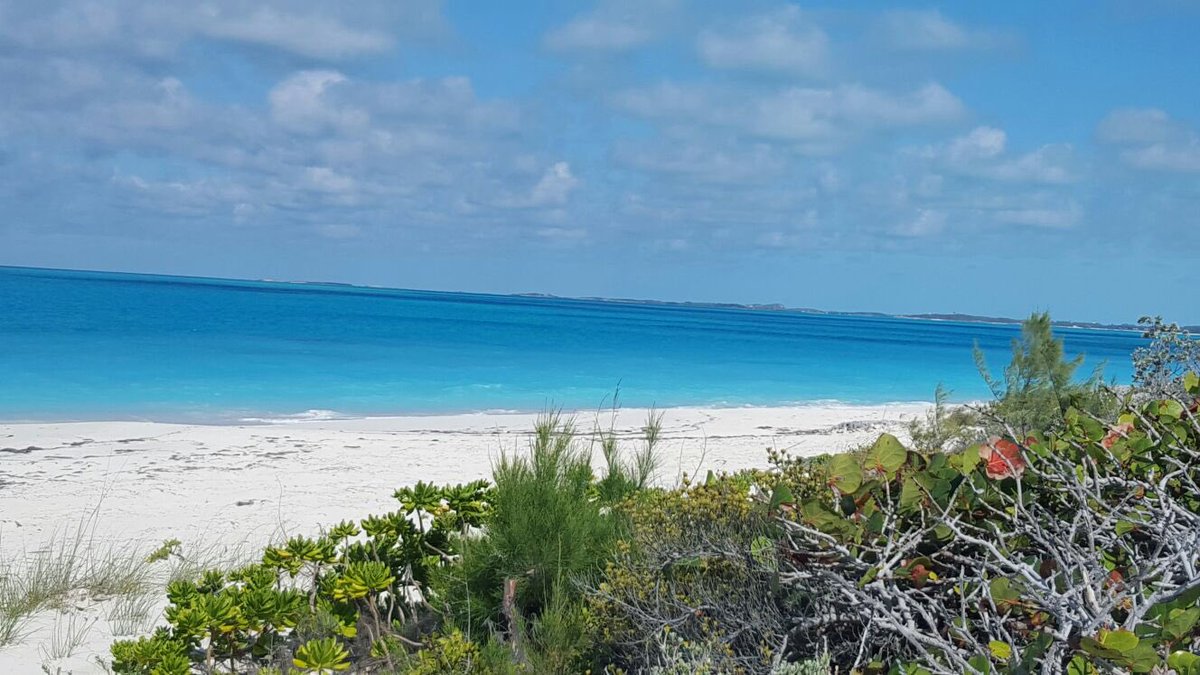 FidProLtd's tweet photo. FidPro staff on the beach today in Moss Town, Exuma, Bahamas https://t.co/MvkDHem7DP