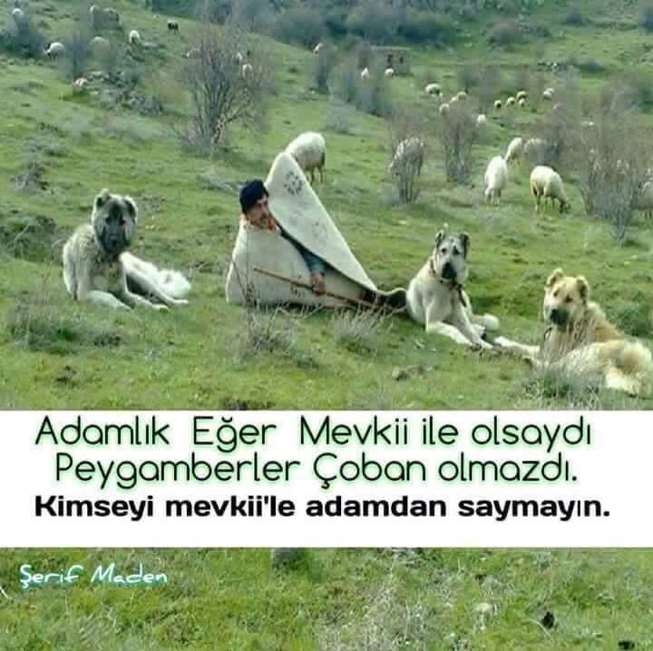 ramaznkytn's tweet photo. #işçisiz1mayıs #3mayisMeclisteEYT @suleymansoylu @naci_agbal @fundaozdemir02 @bayannihavent2 @Ahmet_Davutoglu https://t.co/cyN5Lsn5bk