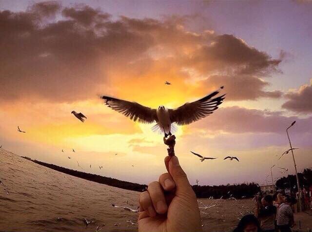 goprooftheday's tweet photo. 📷 April 30, 2016
Photo by @beer_sarot! #goprooftheday https://t.co/TnuPx0KGGP