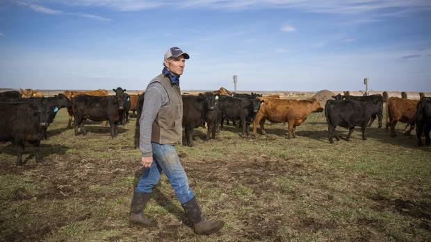 Why <a href="/earlsrestaurant/">Earls Kitchen + Bar</a> won't buy beef from Alberta ranch that earned ethical meat seal trib.al/Kaoab0N