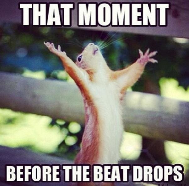 Before the beat drops.
#music #beat