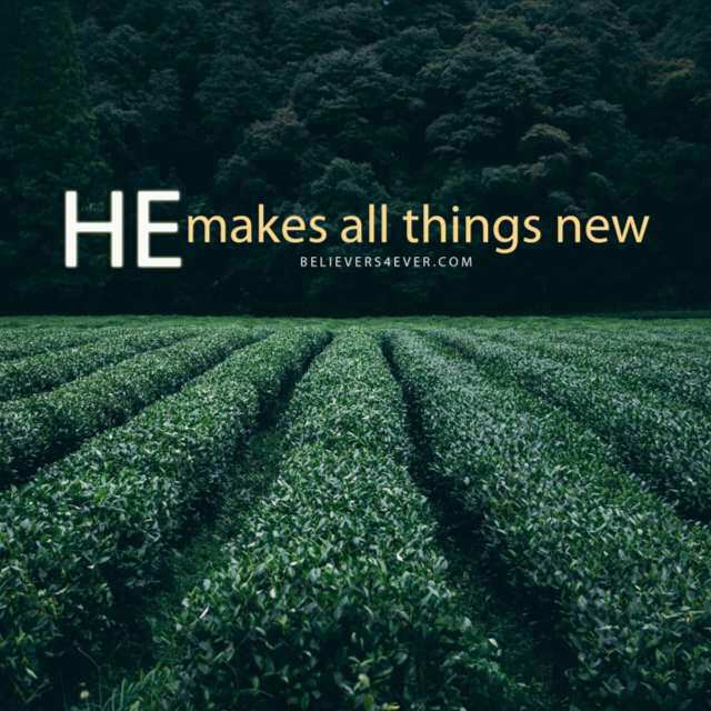 StrictlyChrist's tweet photo. Christ in you, your hope of glory! It's never too late to begin again with Him. #LetChristin #ReadyourBible #Pray https://t.co/LGFsysH7xI