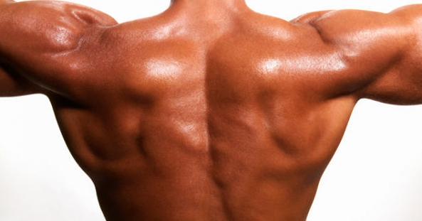 workoutadvs's tweet photo. Get that classic back 'V' with these size-building lat exercises: https://t.co/92psLenweU https://t.co/ChqqWWuJDM