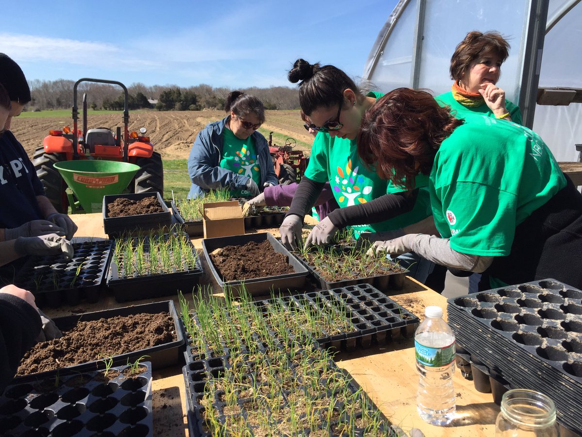 cfmlinc's tweet photo. Transplanting for our local food banks #ComcastCaresDay #ComcastNewEng https://t.co/AGLTJokuyS