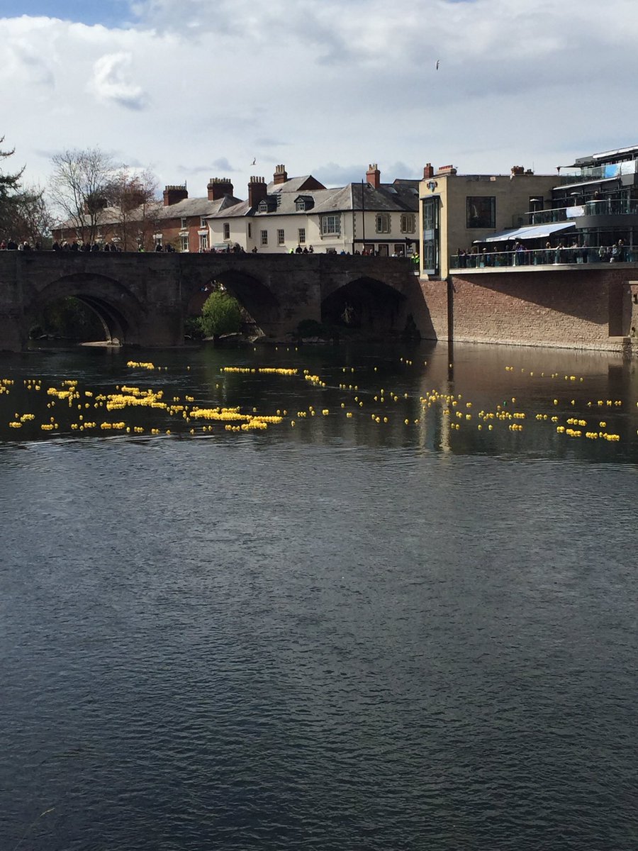 EatSleepLiveHfd's tweet photo. The #ducks are off @HerefordRotary @WyeCarnival @wyebeauty https://t.co/bRG1Yil7HW