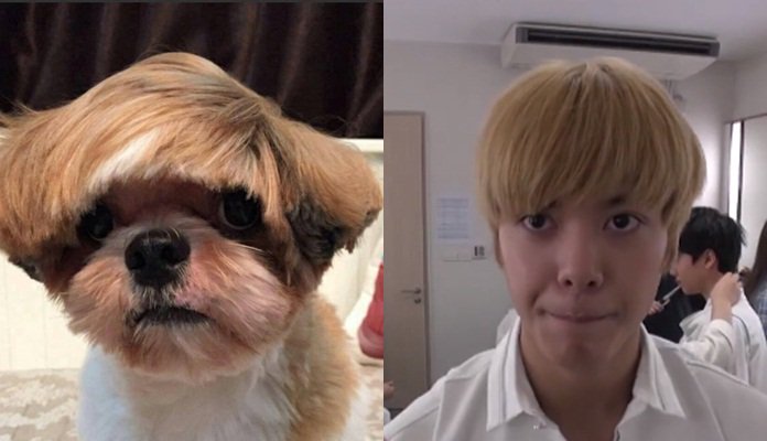 torandmore's tweet photo. ใครไม่ขำกูนับถือใจอะ5555555555555555555555555555555555555555555555555555555555555555555555555555 https://t.co/9Ygonwqmp6