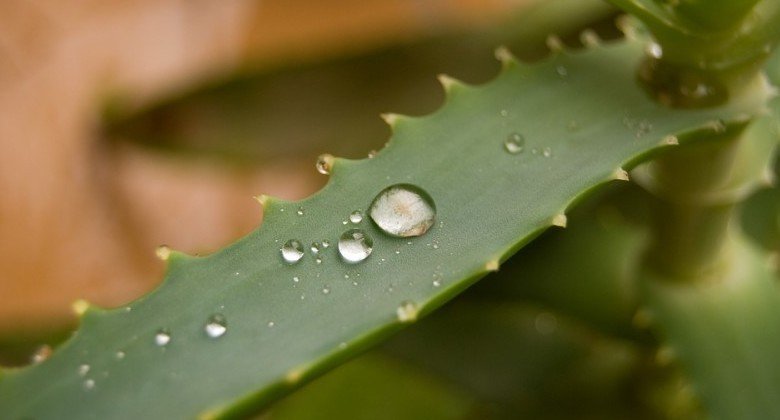 Fitness Kitchen La Fitkitchenla Twitter