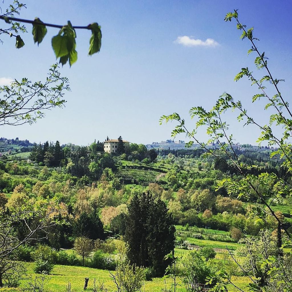 #toscana #tuscany #tuscanypeople #tuscanybuzz #tuscanygram #tuscanytrip #tuscanyhills #countryside #campagna #campa…