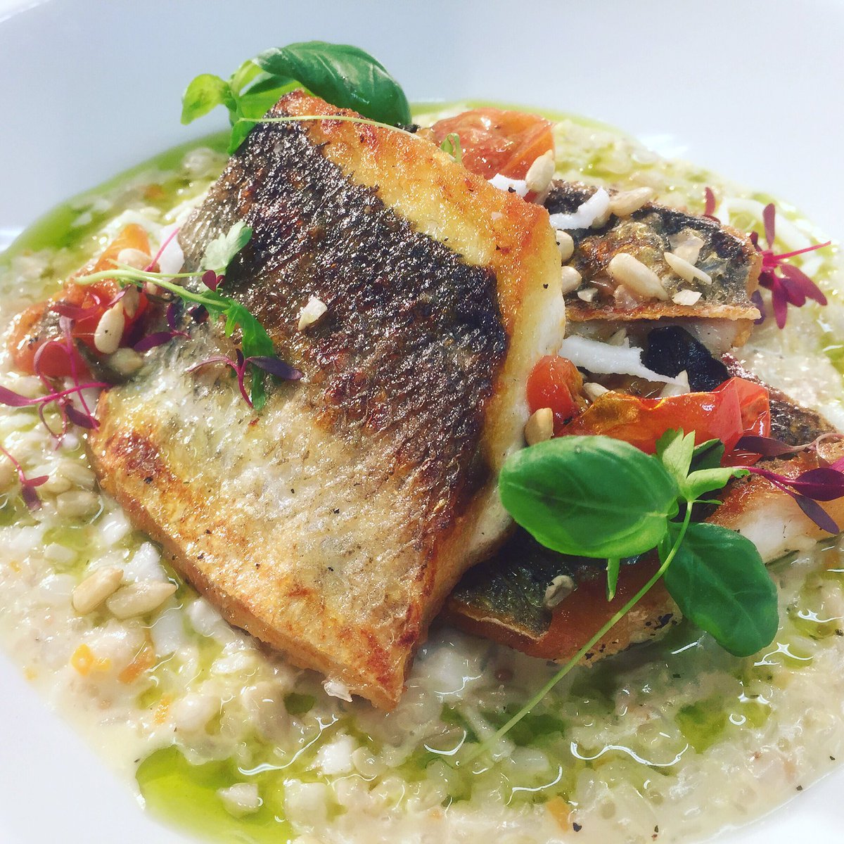 pimentodeli's tweet photo. @OscarsCowbridge- Seabass with 3 seed risotto, confit tomato, halloumi cheese and Dill oil. https://t.co/17m7sngyRH
