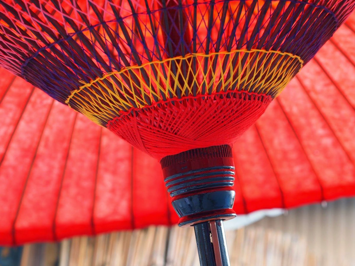 Studio401ws's tweet photo. ＰＲＩＳＭ: How beautiful this umbrella is!! https://t.co/1F5MHlohAG　まるで中学英語のようなタイトルですが … #写���好きな人と繋がりたい #ファインダー越しの私の世界 https://t.co/9kEOgJPkr2