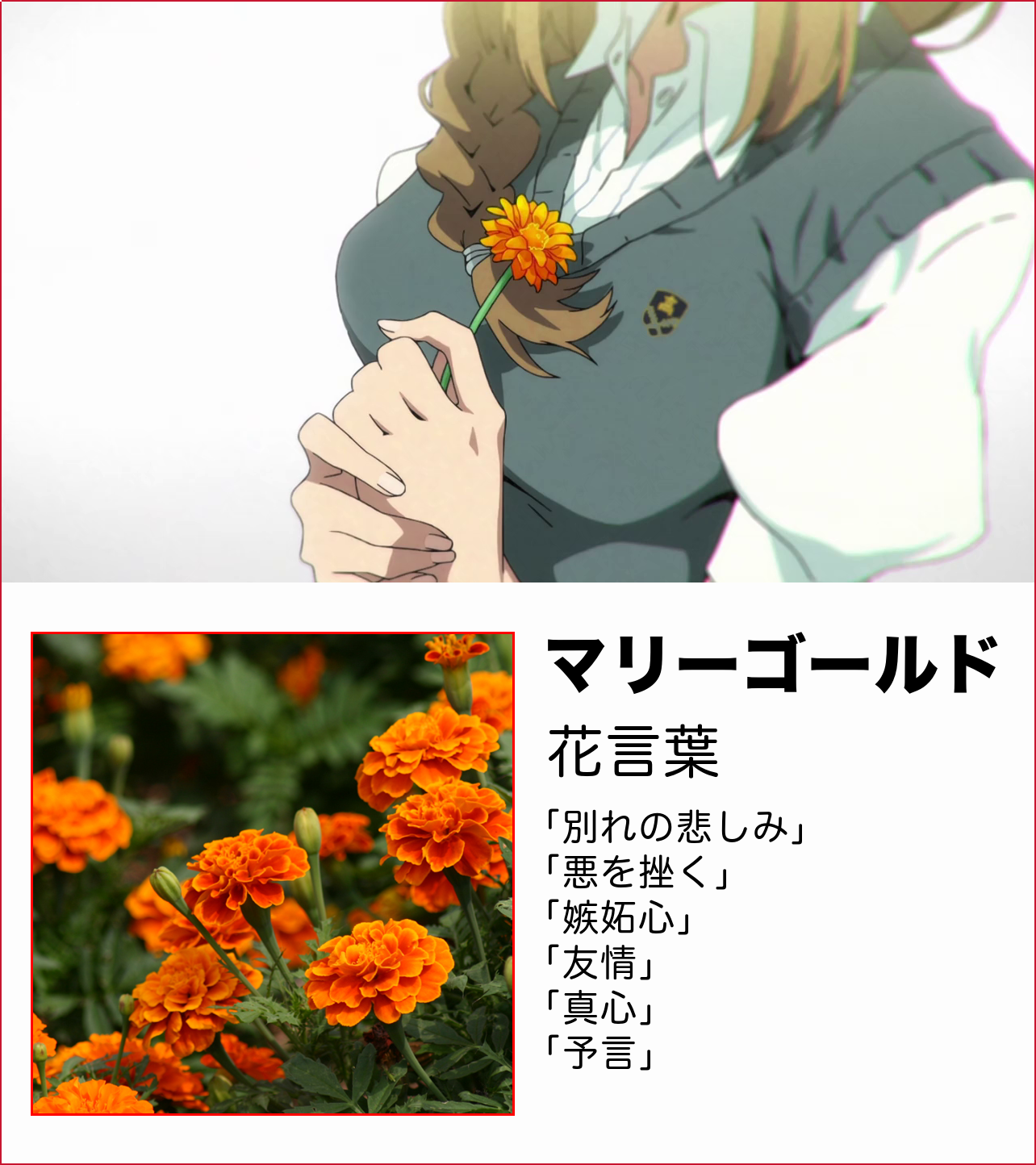ｪ Edの 花言葉 から読み取る 秘めたキズと今後の展開 Kizna キズナイーバー T Co Mth7ju9vw1 Twitter