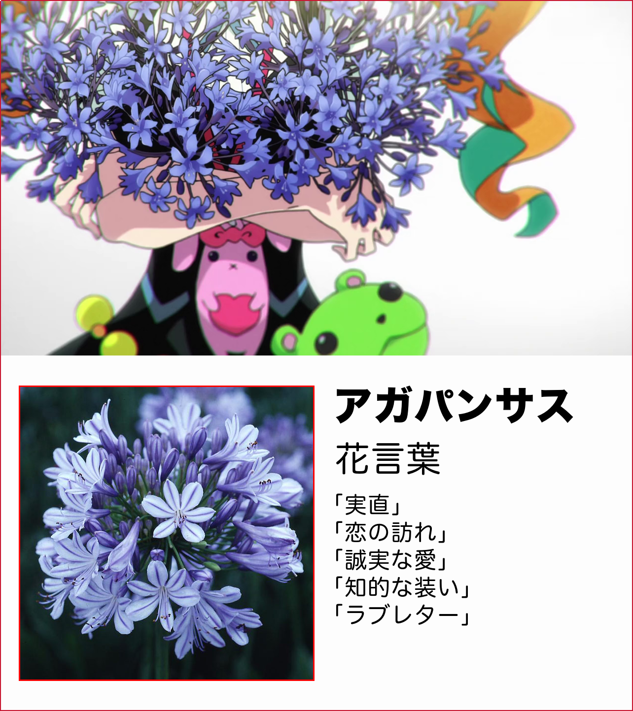 ェ Edの 花言葉 から読み取る 秘めたキズと今後の展開 Kizna キズナイーバー ェ Edの 花言葉 から読み取る 秘めたキズと今後の展開 Kizna キズナイーバー