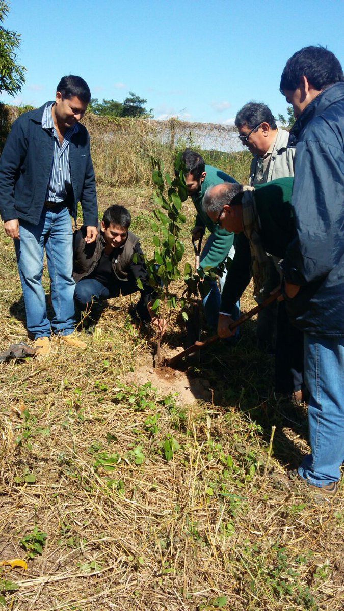 juntasuncion's tweet photo. Estamos en el RC4 trabajando en la reforestación ambiental impulsada por la Institución. 
Lindo sábado!!! https://t.co/fiocoToCJA