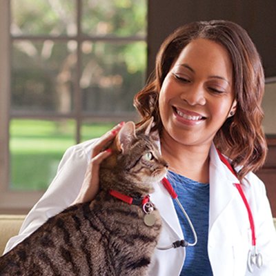 For the tireless hours and years of commitment; thank you. #WorldVeterinaryDay2016