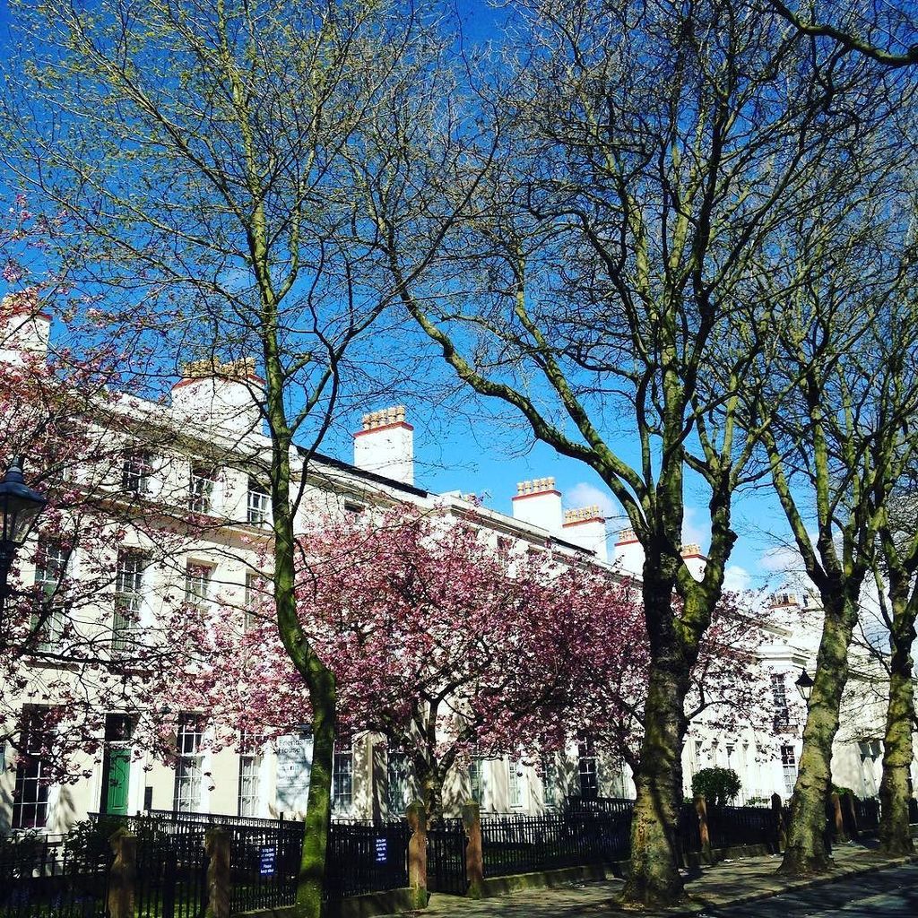 malpasmusic's tweet photo. Spring in Liverpool. https://t.co/9qYrmXD2Nn