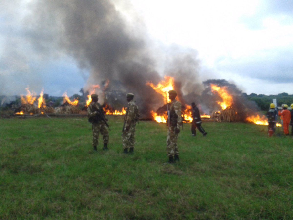 Kenya has shown such leadership with this burn; it's key that we're hearing african voices. -AWF Pres. Kaddu Sebunya