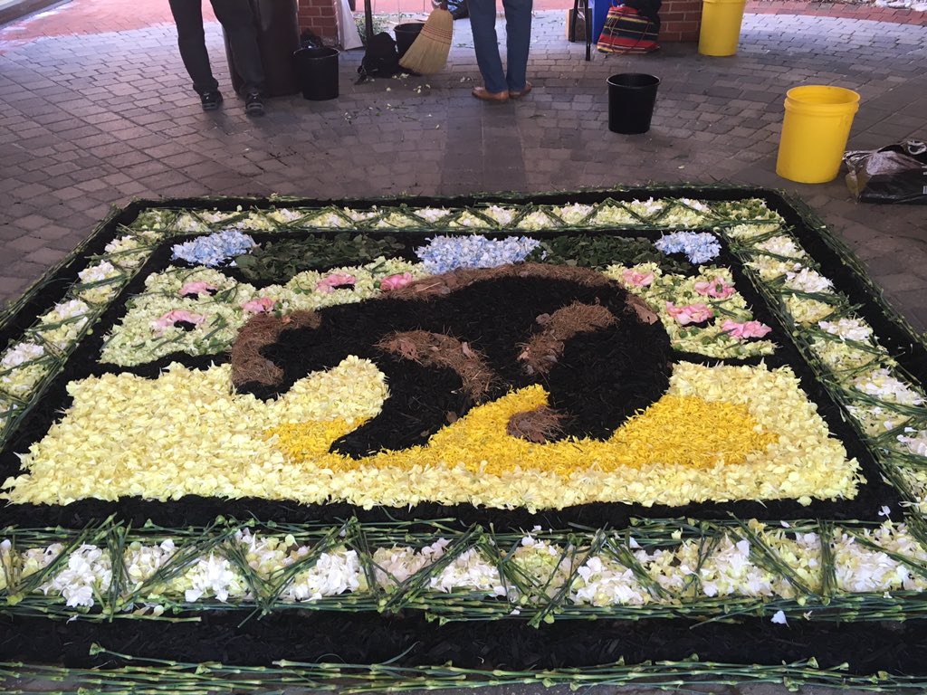 lisaheavner's tweet photo. Check out this flower art @ the #Simsbury Innovation Fair #simsideas https://t.co/MiBtvkAOSl
