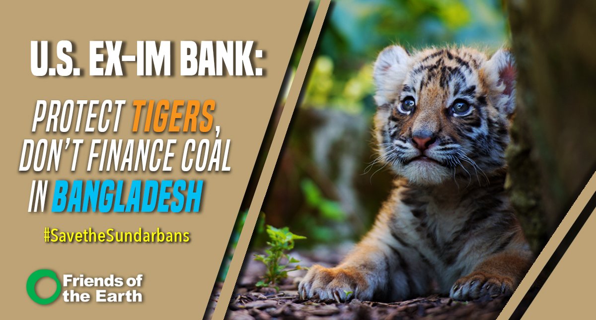 foe_us's tweet photo. Tell @EximBankUS, don’t finance harmful coal projects in Bangladesh! #SaveSundarbans https://t.co/LPx6Spjgiy https://t.co/01sZHmKAZw
