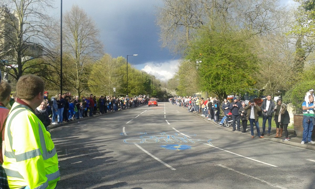 #TDY mania