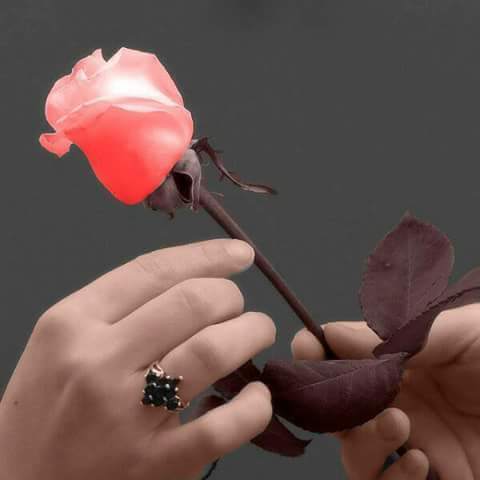 6B0DGM7iGI62xkQ's tweet photo. @gghhdhj58752 انتي الي عسل وروعه https://t.co/DV5y8D7Rg6